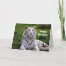 Recherche de white tiger cartes postales Animal