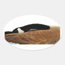 Recherche de oie autocollants Animal