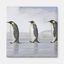 Suche nach kaiser magnete Pinguine