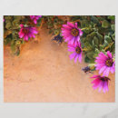 Recherche de cadre prospectus Floral