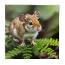 Suche nach die maus fliesen Nagetier