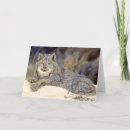 Recherche de lynx vœux cartes Aquarelle