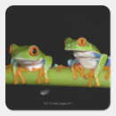 Recherche de grenouille rouge autocollants Vert