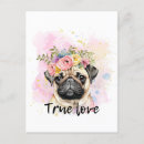 Suche nach wahre liebe postkarten Hund