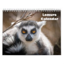 Suche nach lemur büro zubehör Affe