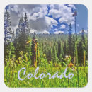 Recherche de ressorts autocollants Colorado