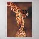 Recherche de giraffe painting posters Extérieur
