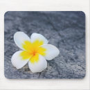 Recherche de fleur hawaïenne tapis souris Frangipani