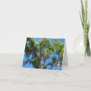 Suche nach spanisches moos karten Baum
