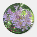 Recherche de fleur de lis refrigérateur magnets Beau