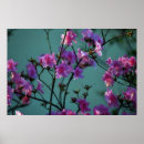 Suche nach azalee poster Mit blumen
