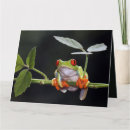 Suche nach frosch karten Natur