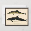 Recherche de orques invitations Poisson