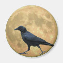 Recherche de la luna magnets Pour elle