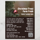Recherche de arbre de noël prospectus Pour tous