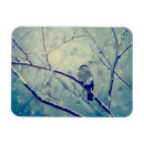 Suche nach spatz magnete Winter