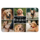 Suche nach schwarzer hund magnete Für haustiere