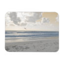 Recherche de mers magnets Côtier
