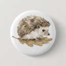 Suche nach igel buttons Waldtier
