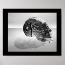 Suche nach meeresschnecke poster Muschel