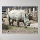 Suche nach gefährdet poster Weiß
