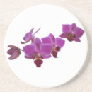 Suche nach phalaenopsis untersetzer Blüte