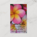 Recherche de frangipani cartes visite Fleurs