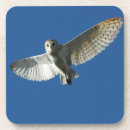Suche nach flug untersetzer Vogel