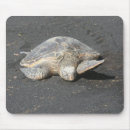 Suche nach schildkröten mousepads Hawaii
