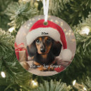 Suche nach boston terrier schmuck Baum