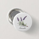 Suche nach lavendel blumen buttons Botanisch