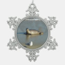 Recherche de phoques ornements Faune