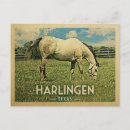Recherche de harlingen Texas