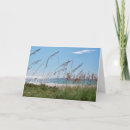 Suche nach hafer karten Sandsand