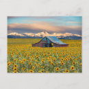 Recherche de farm cartes postales Landscape