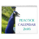 Suche nach pfauen kalender Wild lebende tiere