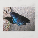 Suche nach rote schmetterlinge postkarten Blau