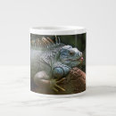 Recherche de reptiles tasses Cool