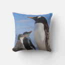 Recherche de habitat coussins Famille