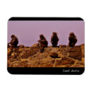 Suche nach saudi arabien magnete Souvenir