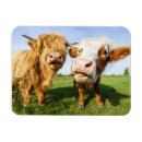 Recherche de hauts de forme magnets Ferme