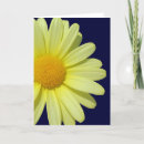Suche nach gelber stern karten Blume