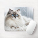 Suche nach fuer mousepads Katze