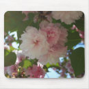 Suche nach kirschbaum mousepads Blume