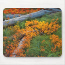 Recherche de grand format tapis souris Vert