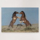 Recherche de étalon puzzles Cheval