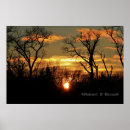 Recherche de arbre nu posters Coucher de soleil