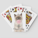 Recherche de princesse jeux de cartes Drôle