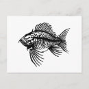 Suche nach fossil postkarten Fossile fische