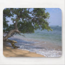 Suche nach szene mousepads Usa